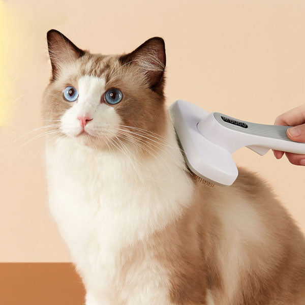 Pet Supplies & Care